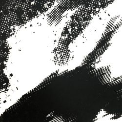 Edyta_Radziewicz_ikar