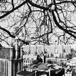 Julia_Linowska_Toruń, Yggdrasil_ Główne