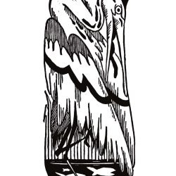 Maciej_Płatek_Czapla