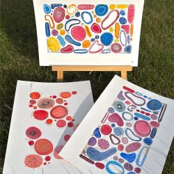 Maja_Rusek_wzory1_glowne